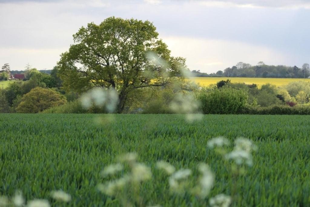 Lovely 3 Bedroom House In The Centre Of Lavenham Luaran gambar
